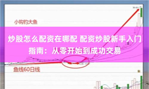 炒股怎么配资在哪配 配资炒股新手入门指南：从零开始到成功交易