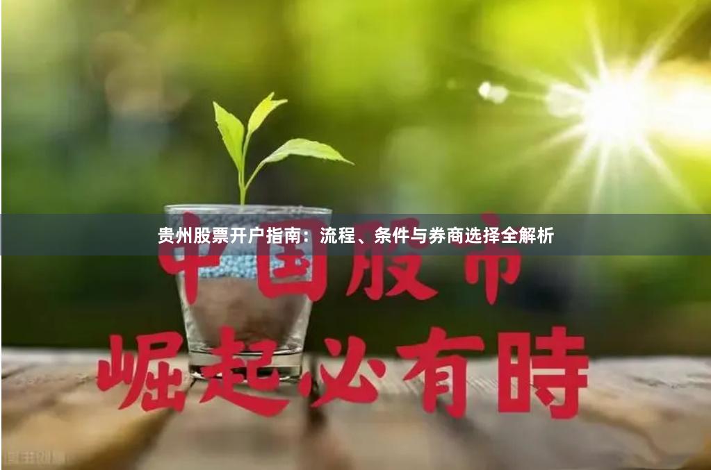 贵州股票开户指南：流程、条件与券商选择全解析