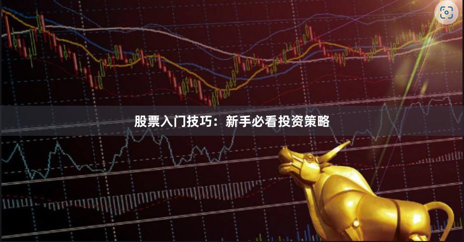 股票入门技巧：新手必看投资策略