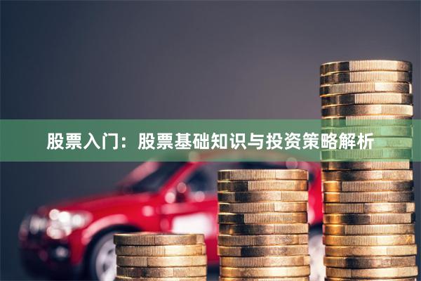 股票入门：股票基础知识与投资策略解析